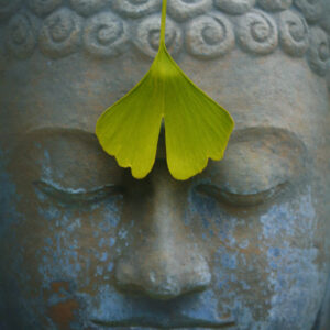 Imagen de la cabeza de un buddha para la sección de formación de Reiki en Lau Zentroa