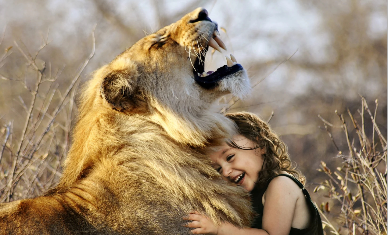blog-lau-zentroa-chamanismo-animales-poder