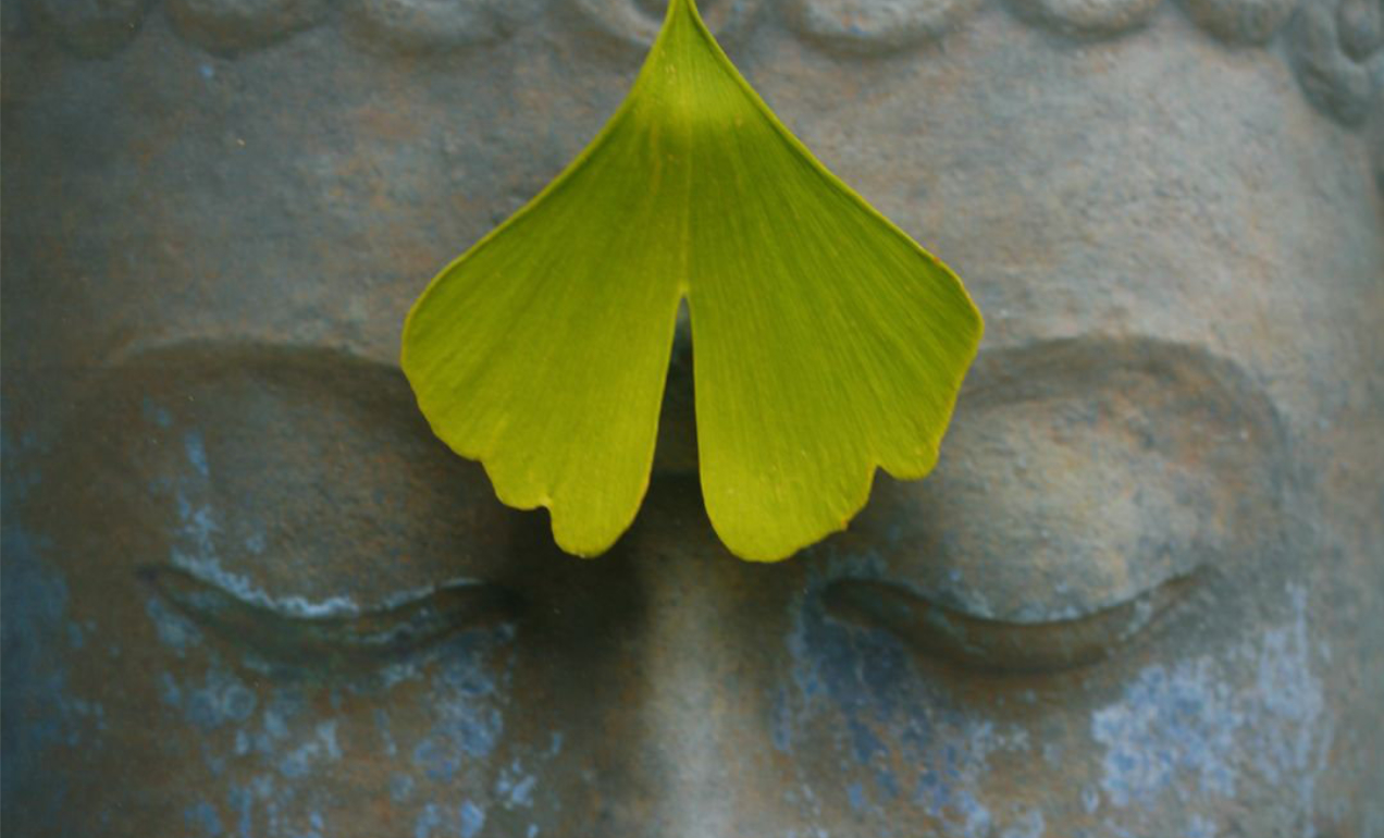 blog-lau-zentroa-mi-camino-en-reiki