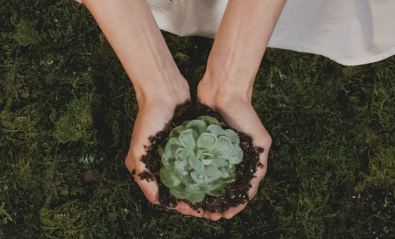 blog-lau-zentroa-reiki-al-servicio-de-la-tierra