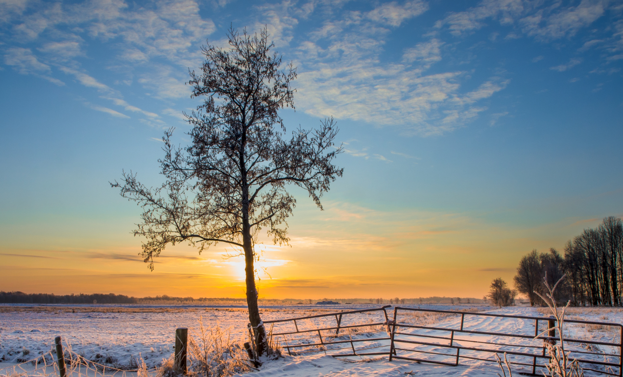 blog-lau-zentroa-yule